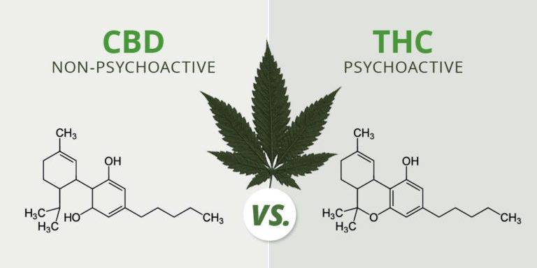 The Pros & Cons of Using Cannabis for Sleep The Pros & Cons of Using Cannabis for Sleep • THC vs CBD for sleep