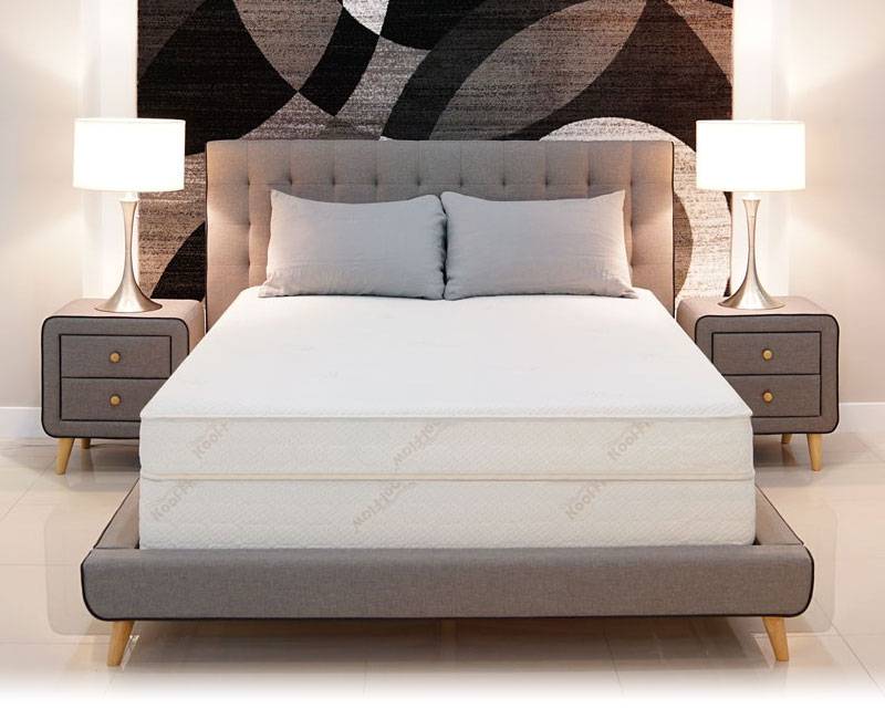 Sleep Number 360 i8 vs Air-Pedic 800 Beds Air-Pedic 800 Adjustable Air Bed Mattress Review