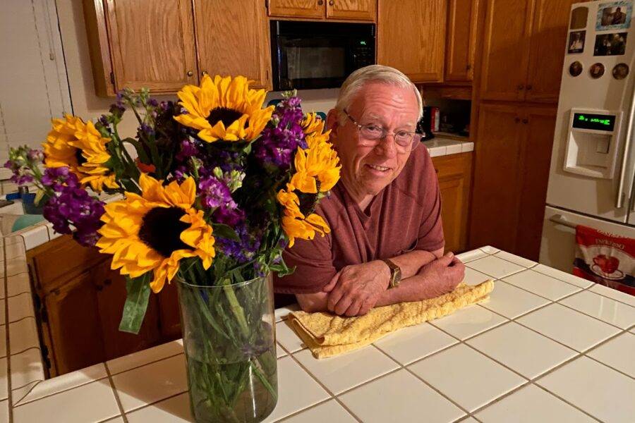 Olive Oil vs. Sunflower Oil Showdown