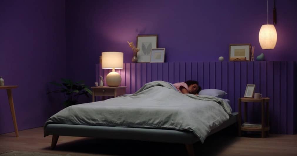 The Original Purple Mattress Review Flex grid