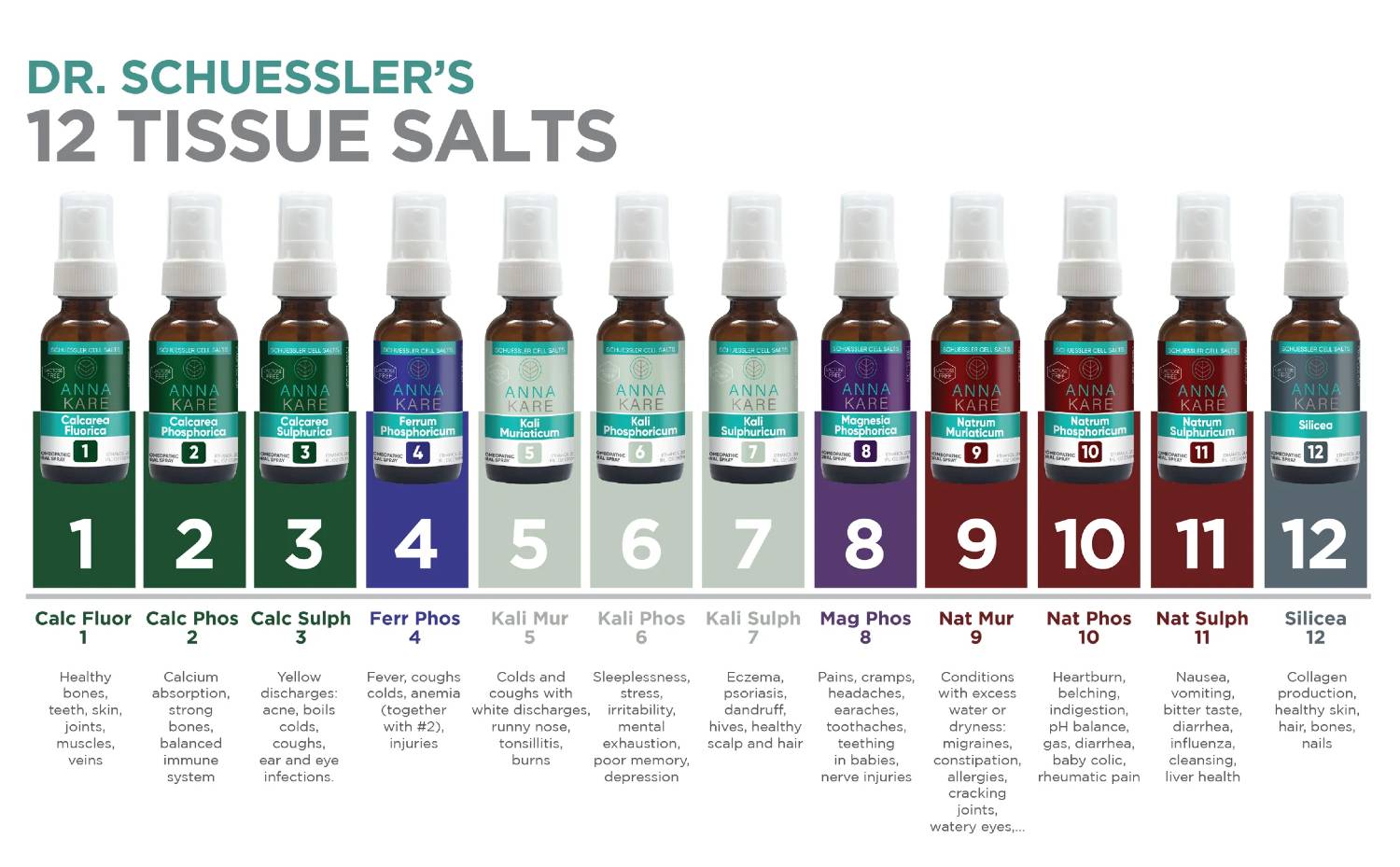 Cell Salts vs Celtic Sea Salt: How Each Supports Your Health Different Types of Dr. Schuessler’s 12 Tissue Salts