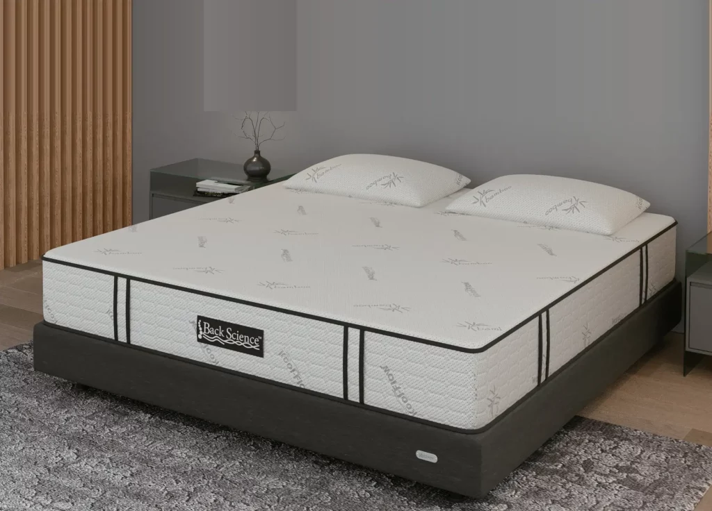 Back Science Series 1 Hybrid Mattress Review Back Science Series 1 Hybrid Mattress Review