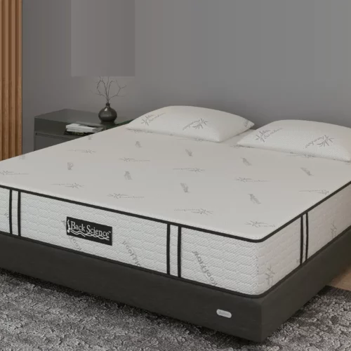 Best Mattress Back Science Series 1 Hybrid Mattress Review