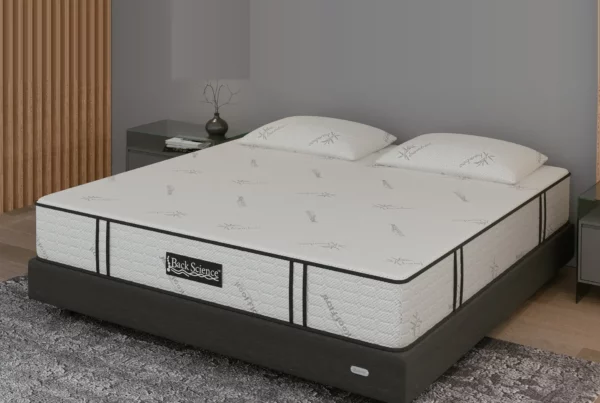 Back Science Series 1 Hybrid Mattress Review