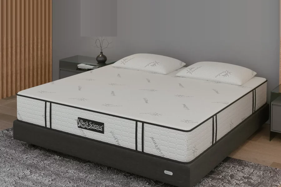 Back Science Series 1 Hybrid Mattress Review