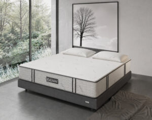 Back Science Series 3 Hybrid Mattress Reviews