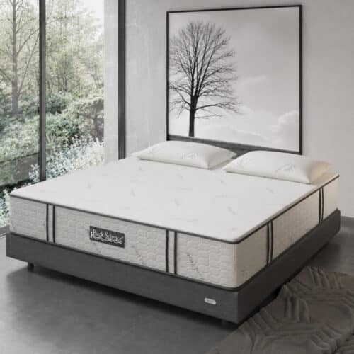 Best Mattress Back Science Series 3 Mattress Review and Performance Rating