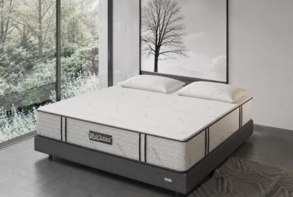 Back Science Series 3 Mattress Review and Performance Rating