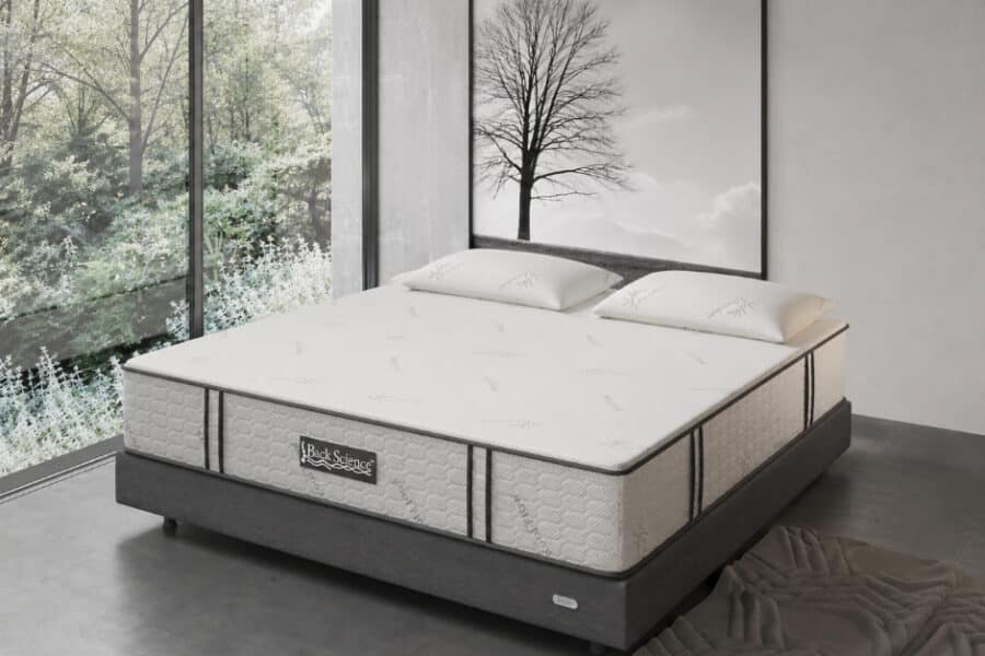 Back Science Series 3 Mattress Review and Performance Rating