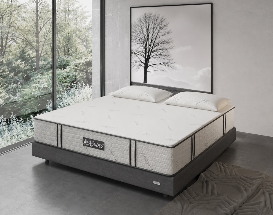 Back Science Series 3 Hybrid Mattress Reviews Back Science Series 3 Mattress Review and Performance Rating