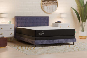 Sealy Cocoon Chill Mattress Review